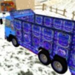 Indian Cargo Truck Driver