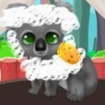 Paws To Beauty: Back To The Wild