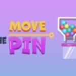 Move The Pin Puzzle Move The Pin Puzzle