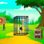 Rescue The Ostrich Chick