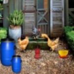 Poultry Farm Easter Escape