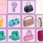 Purse Cards Match