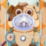 Animal Daycare Animal Daycare