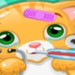 Little Cat Doctor Pet Vet Games Little Cat Doctor Pet Vet Games