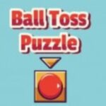 Ball Toss Puzzle