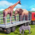 Truck Driving Animal Transport