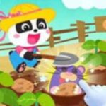 Baby Panda Dream Garden