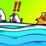 Fish Jam Fish Jam