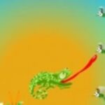 Chameleon Want Eat Chameleon Want Eat