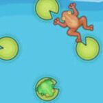 Frog Fights With Buddies